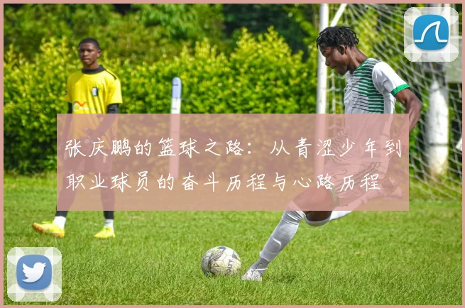 张庆鹏的篮球之路：从青涩少年到职业球员的奋斗历程与心路历程